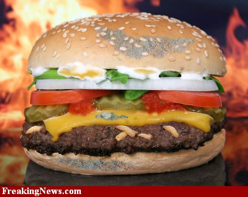 Mouldy-burger--50839.jpg
